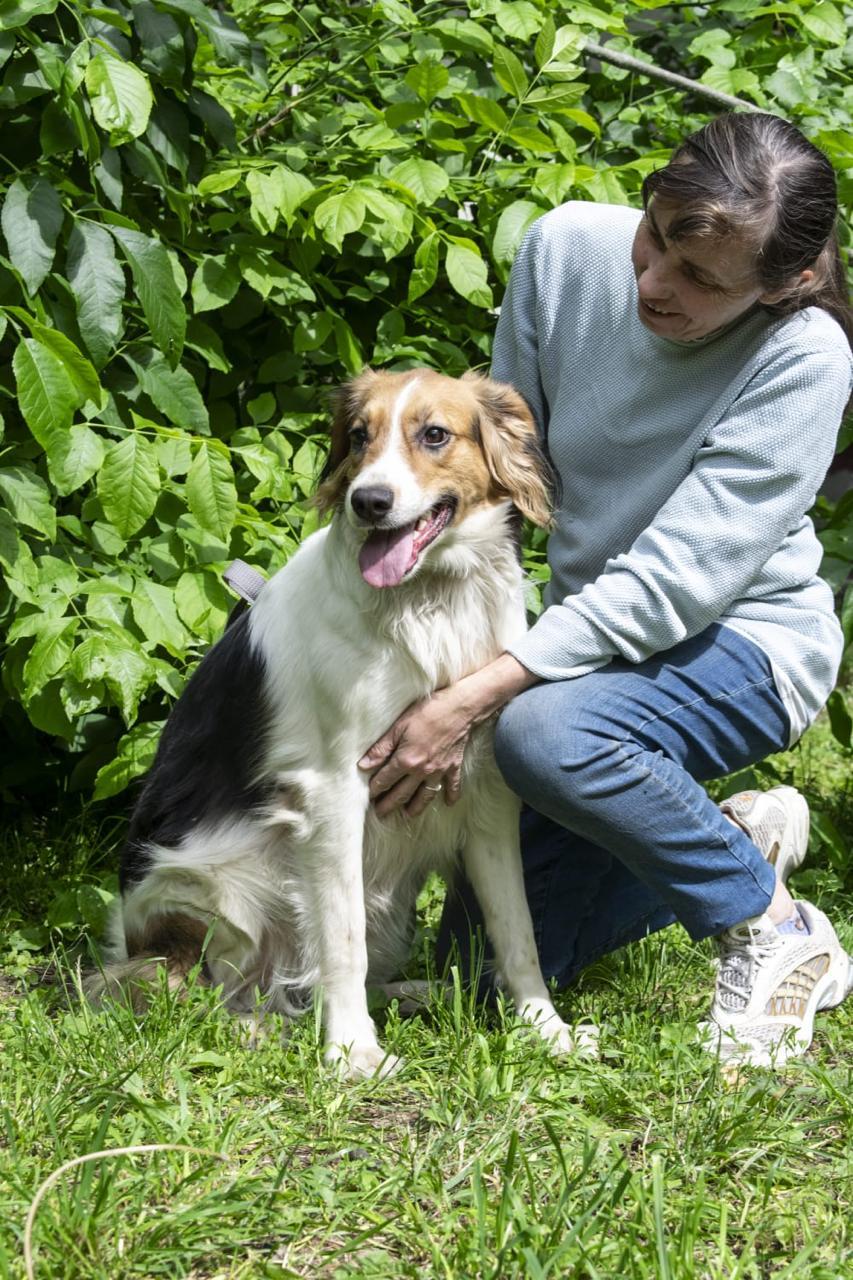Maggie, an adopted mixed breed in Hawley, PA image 5/6