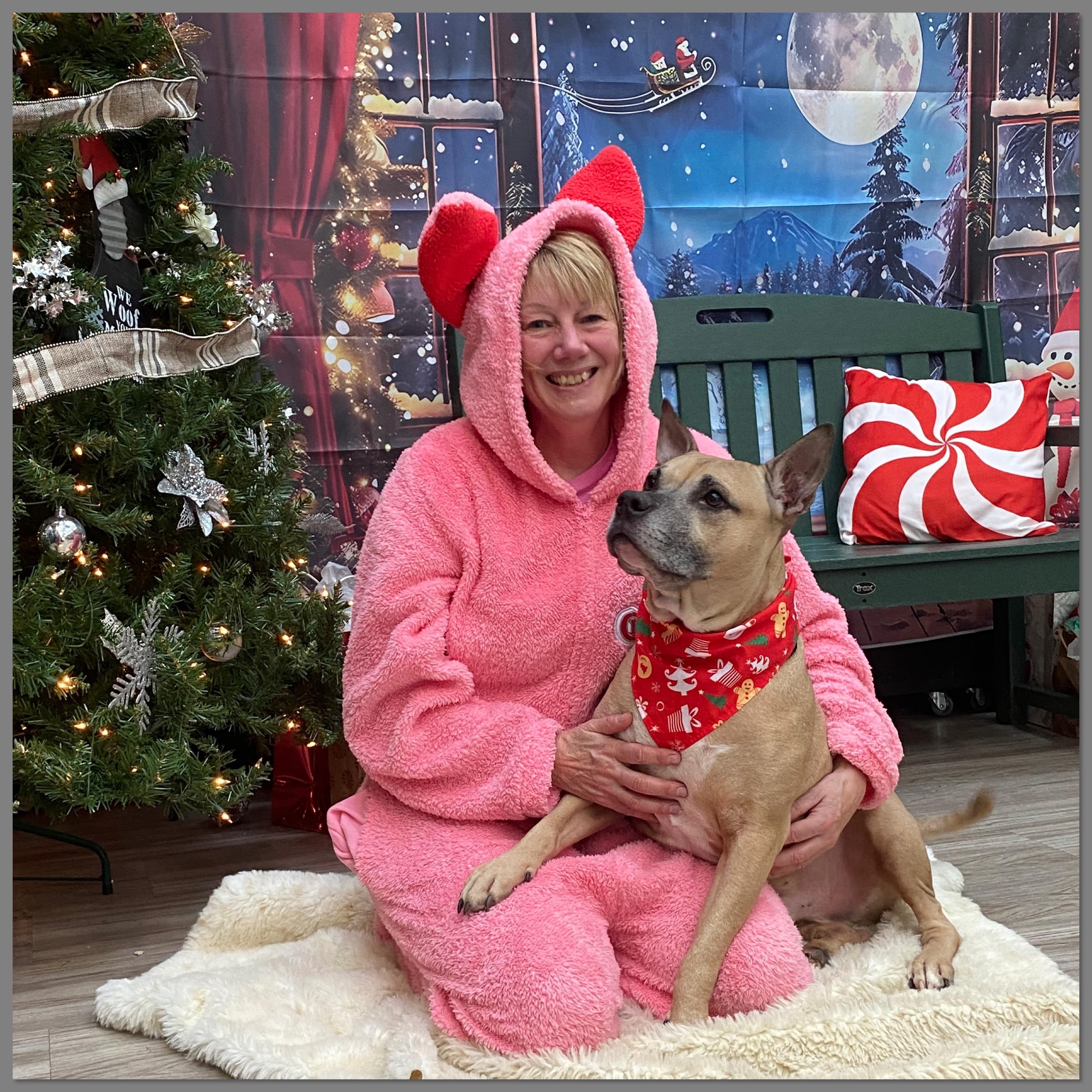 Remy, a Adoptable Mixed Breed in Elyria, OH image 2/5