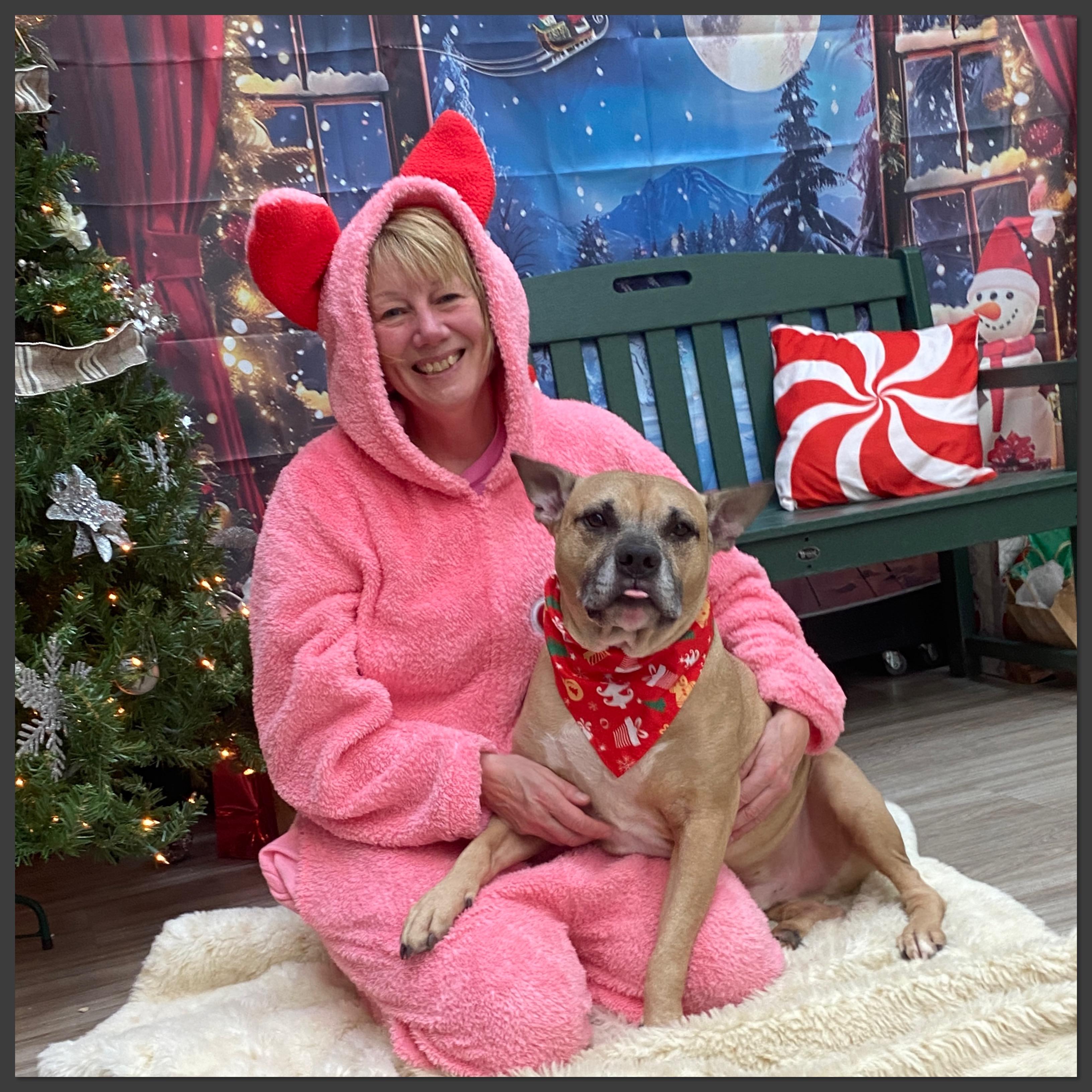 Remy, a Adoptable Mixed Breed in Elyria, OH image 3/5