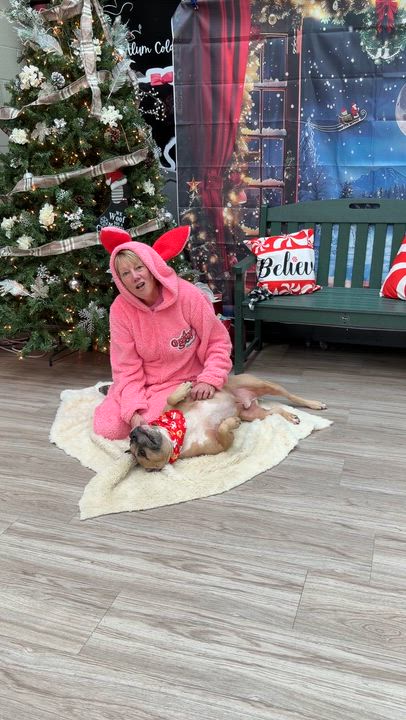 Enlarge Remy, a Adoptable Mixed Breed in Elyria, OH video 5/5