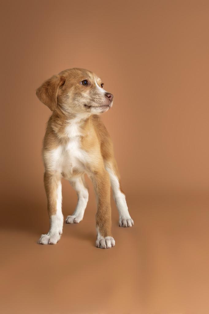 Aria — thumbnail 2