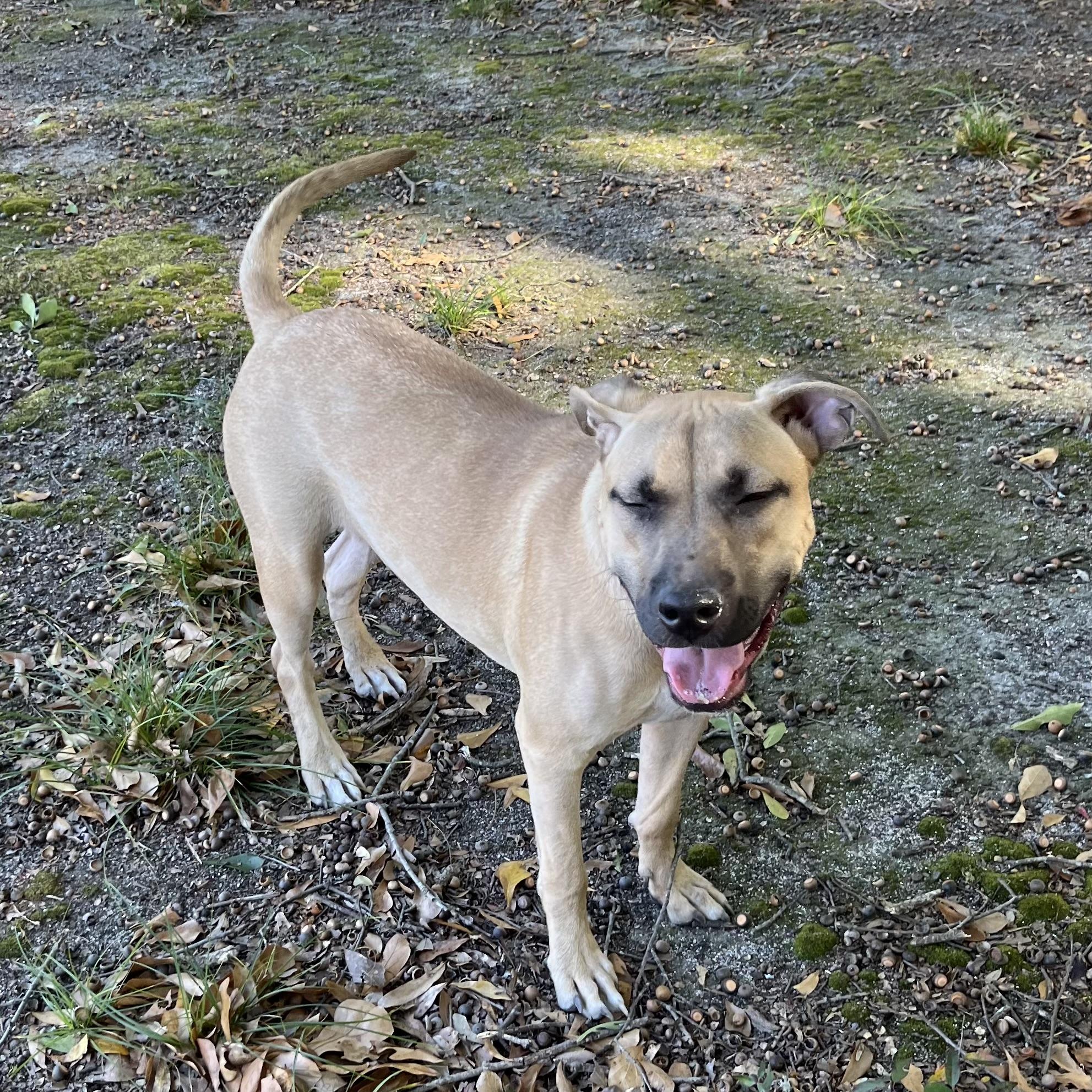 Naomi Wildman — thumbnail 3