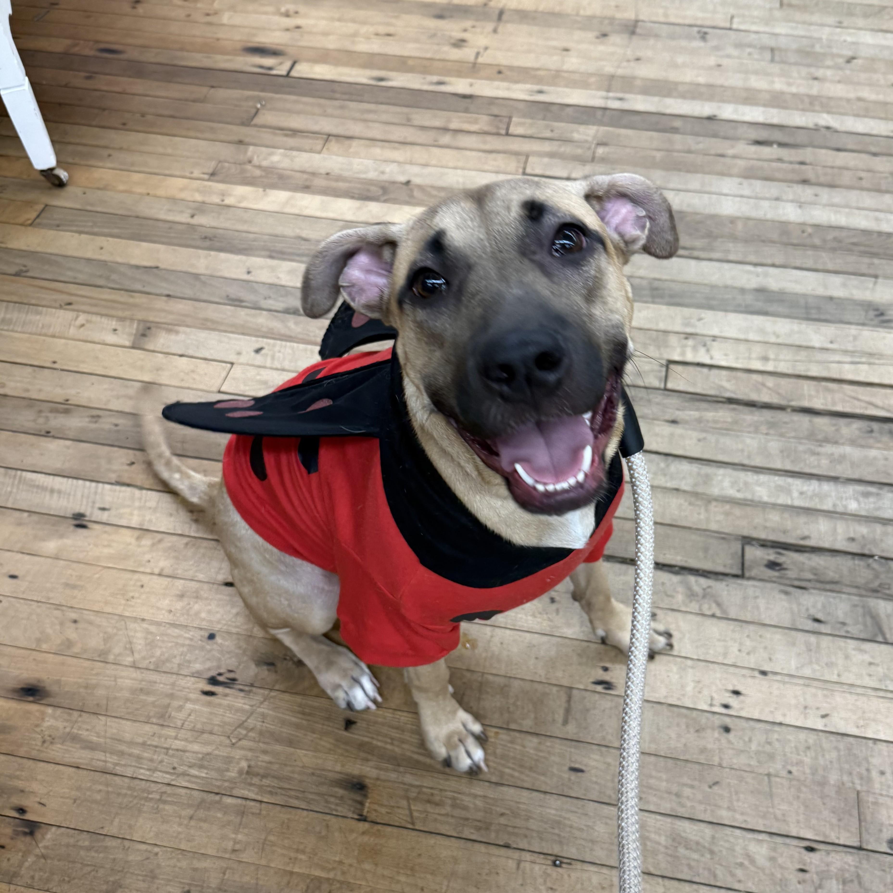 Naomi Wildman — thumbnail 4