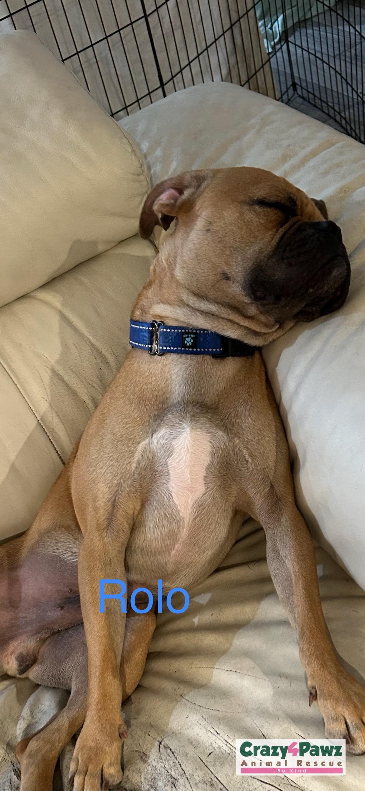 ROLO