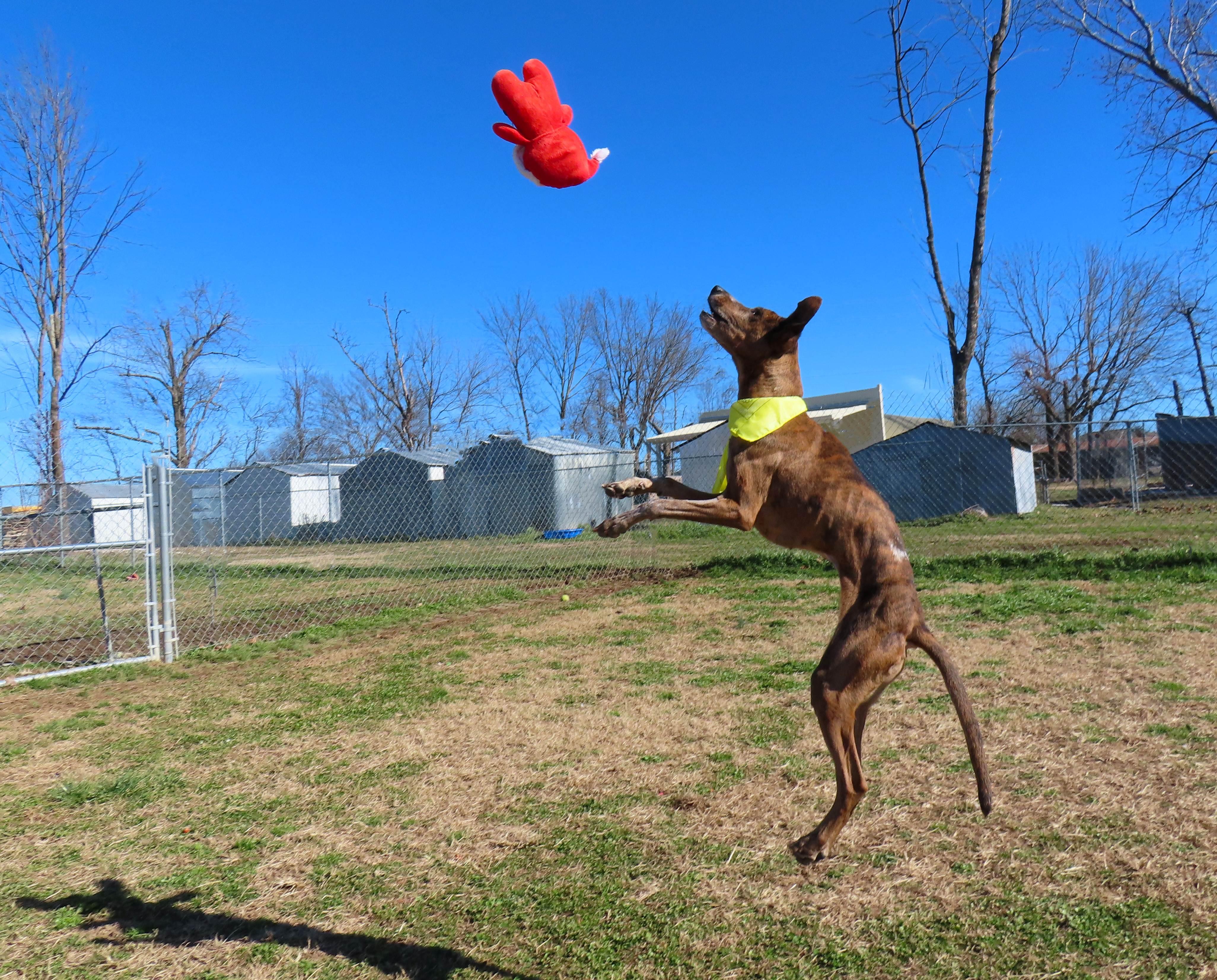 Isabella  C thumbnail 5