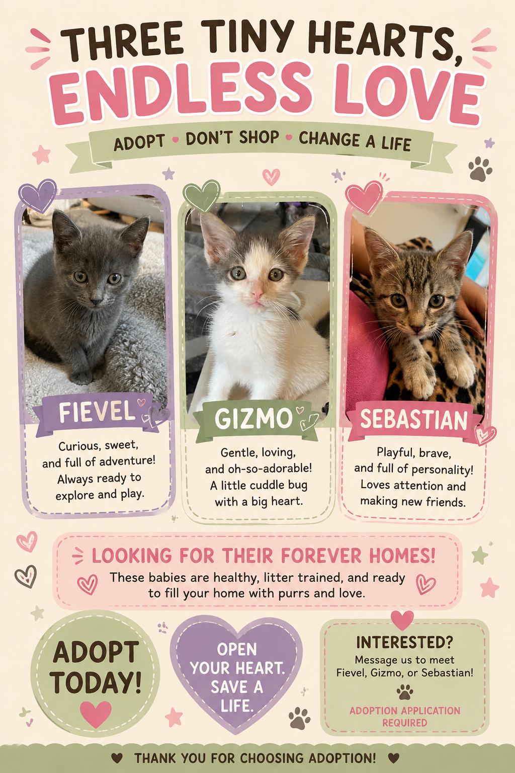 Enlarge Kittens, Kittens, Kittens, a ADOPTABLE mixed breed in Metairie, LA image 3/3