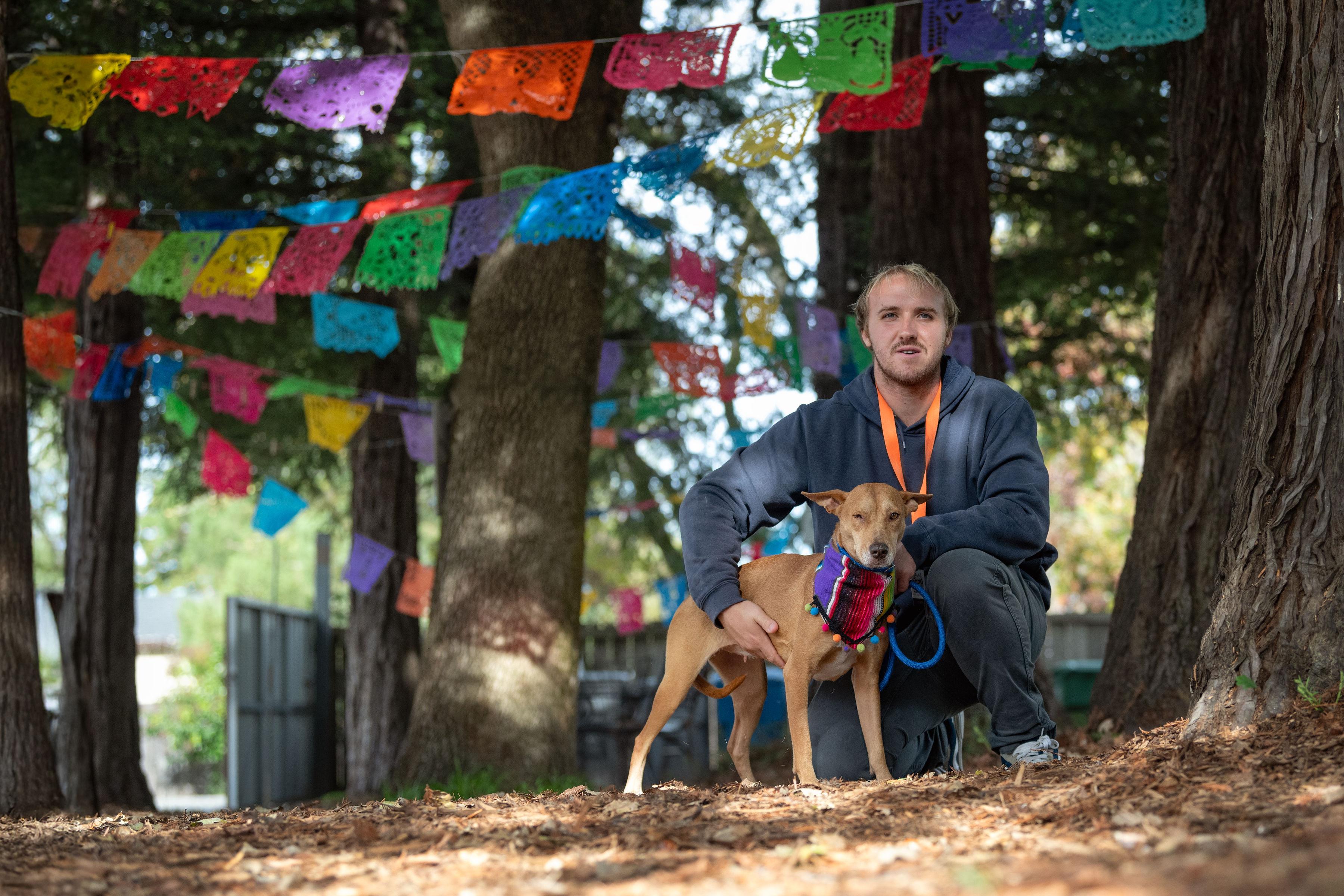 Enlarge Kimmy, a ADOPTABLE mixed breed in Santa Rosa, CA image 2/4