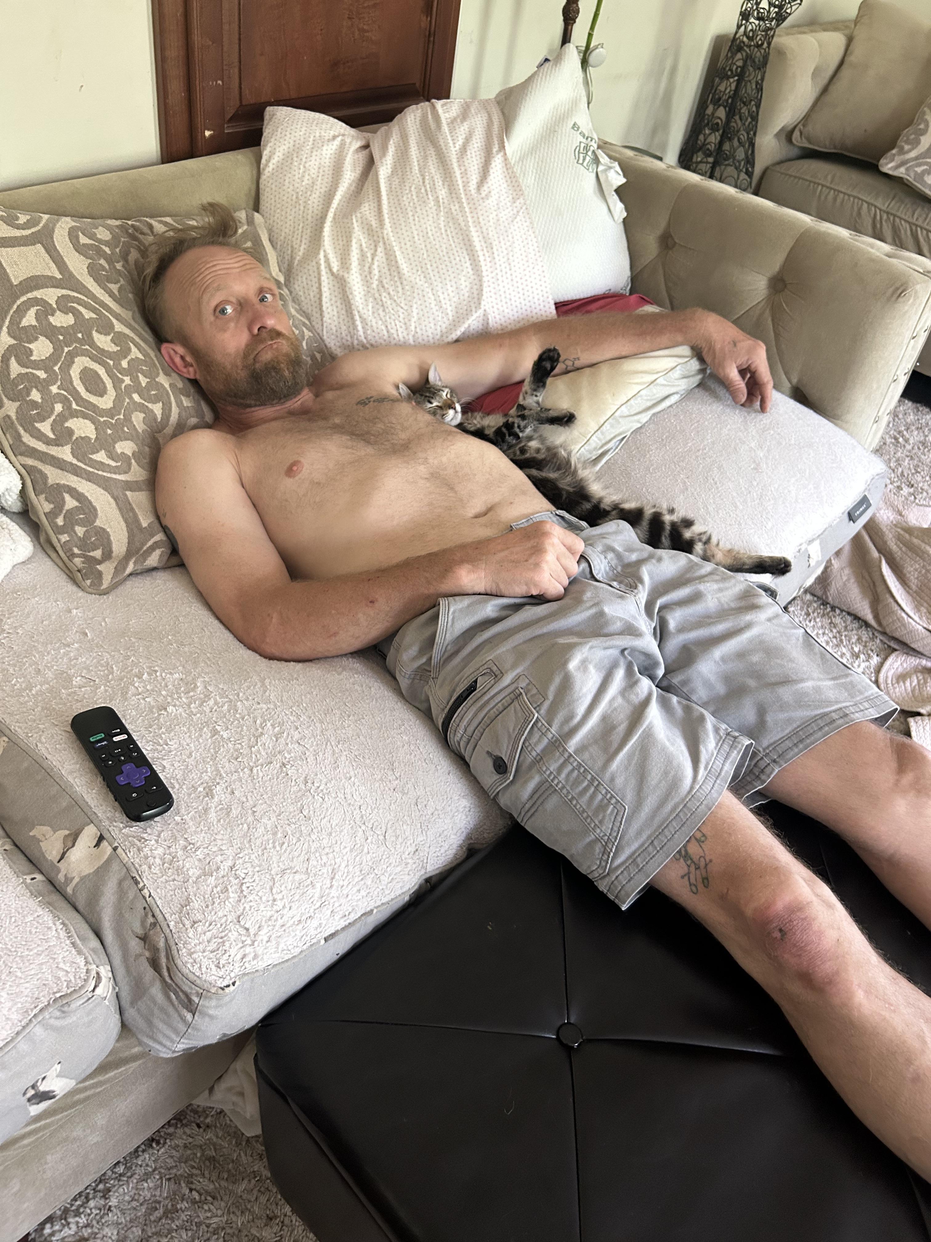 Leo, an adoptable Tabby in Vinemont, AL, 35179 | Photo Image 6