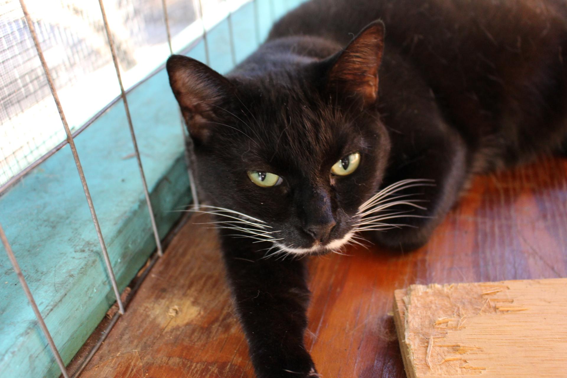 Maggie Mae, FL. photo 1