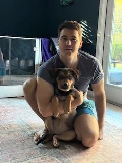 Wendy, Adoptable, Puppy Female German Shepherd Dog.