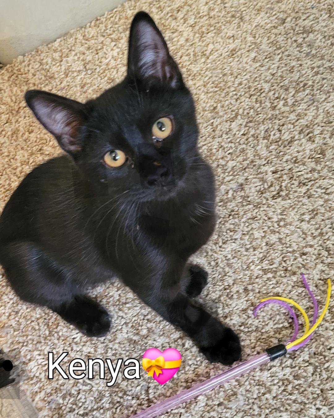 Kenya, Baby Female unknown