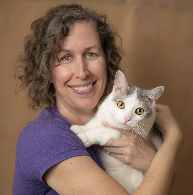 Enlarge Tori, an adopted Domestic Short Hair in Chicago, IL image 3/6