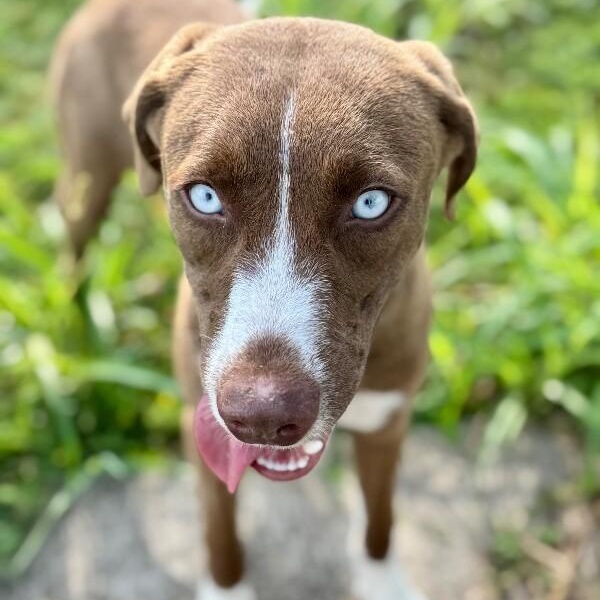 Mr Blue Sparkling Eyes, Tender heart 4