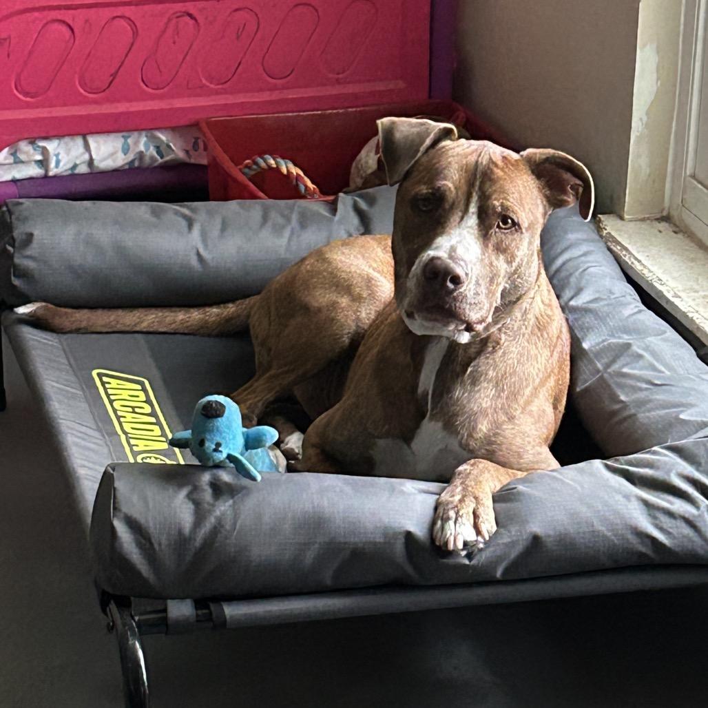 Chance JC* — thumbnail 3