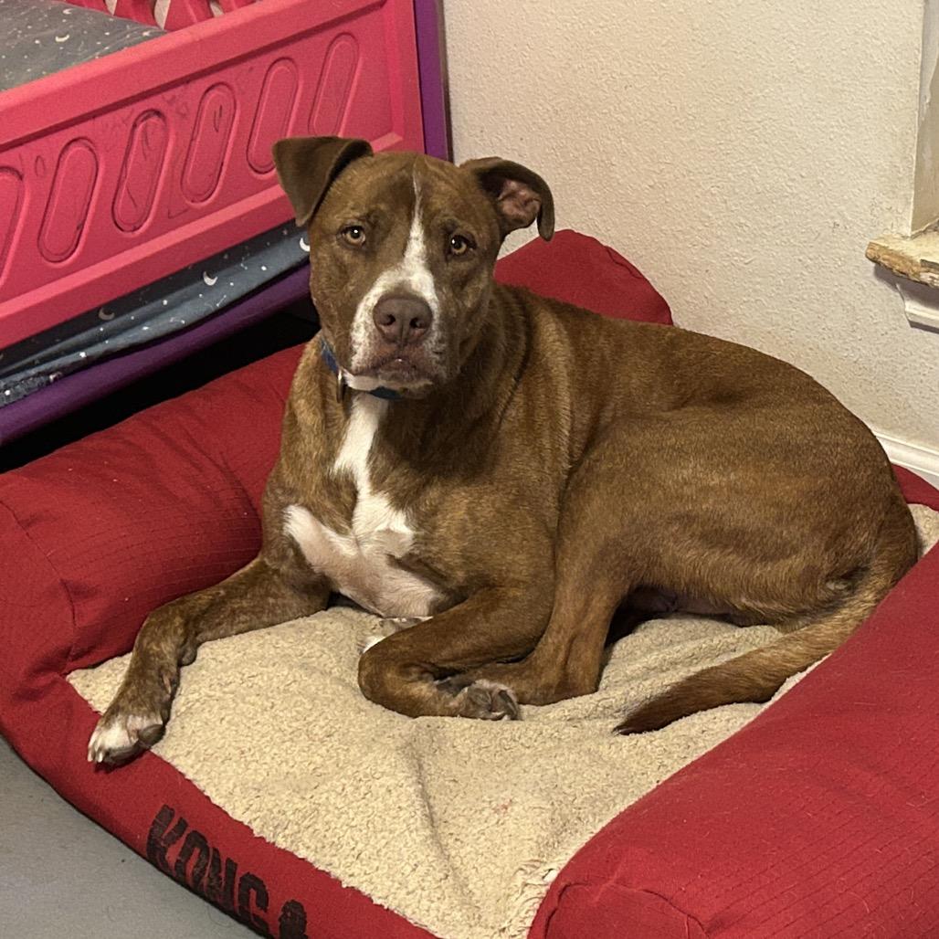 Chance JC* — thumbnail 4