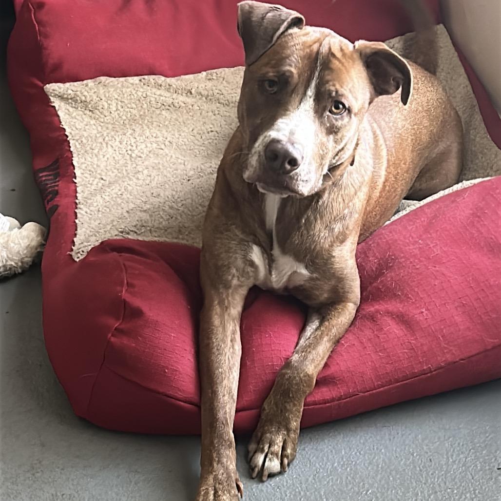 Chance JC* — thumbnail 5