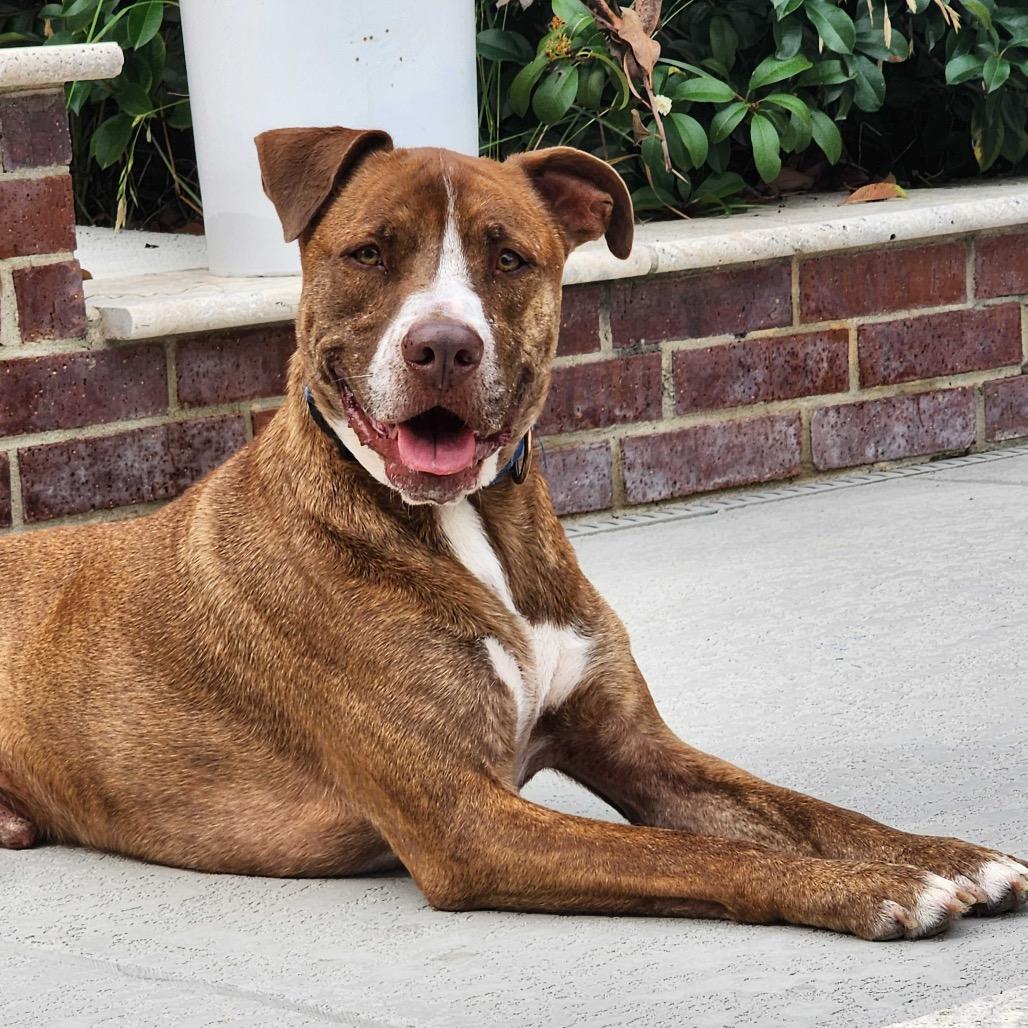 Chance JC* — thumbnail 6