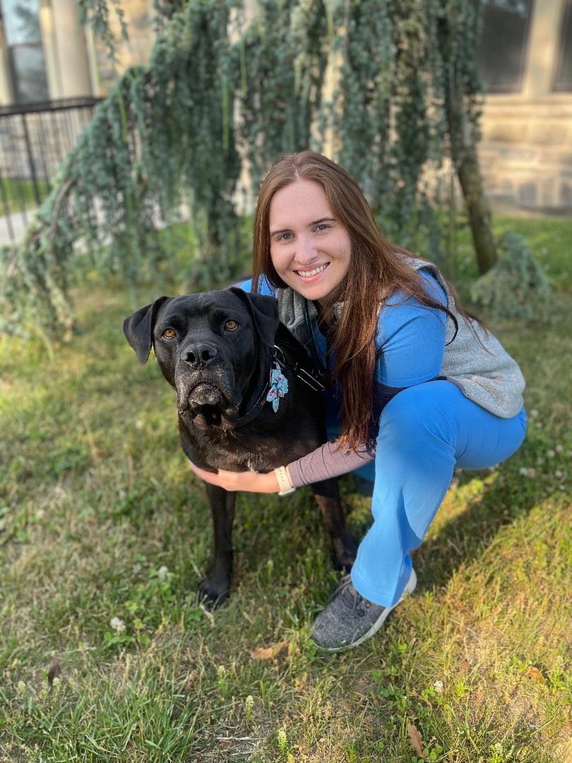 Enlarge Matumba, a Adopted Boerboel in Philadelphia, PA image 3/16