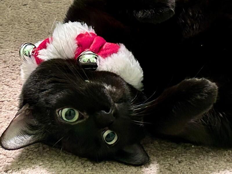 Sabrina — thumbnail 4