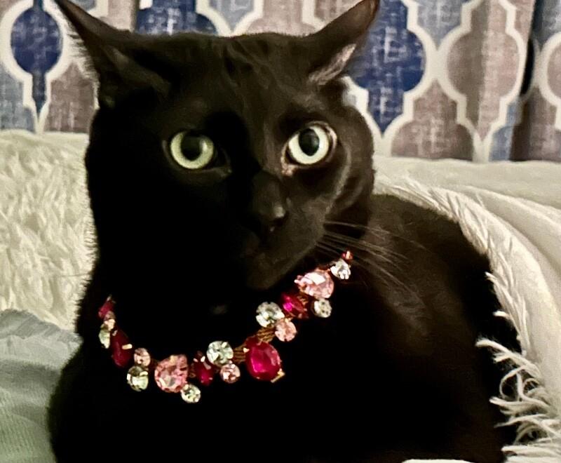 Sabrina — thumbnail 5