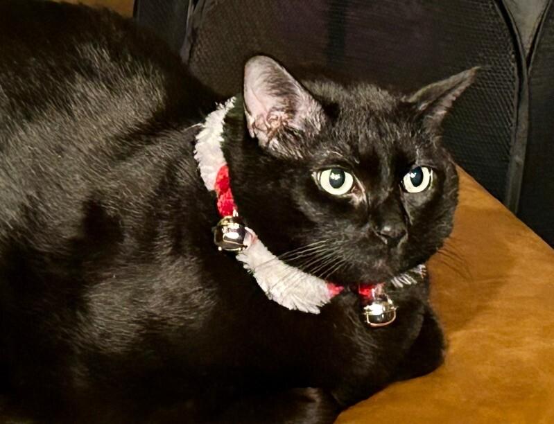 Sabrina — thumbnail 6