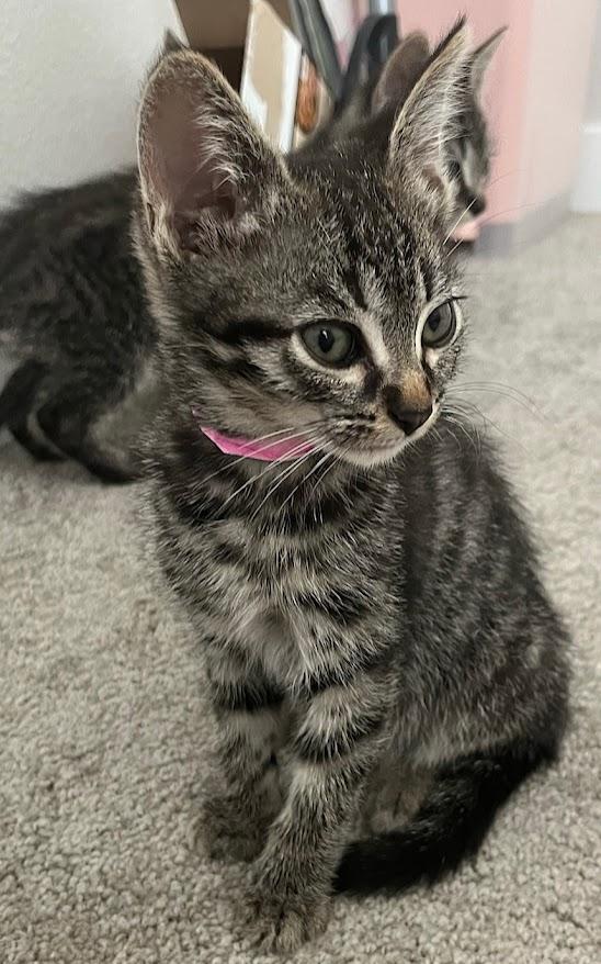 Kiara