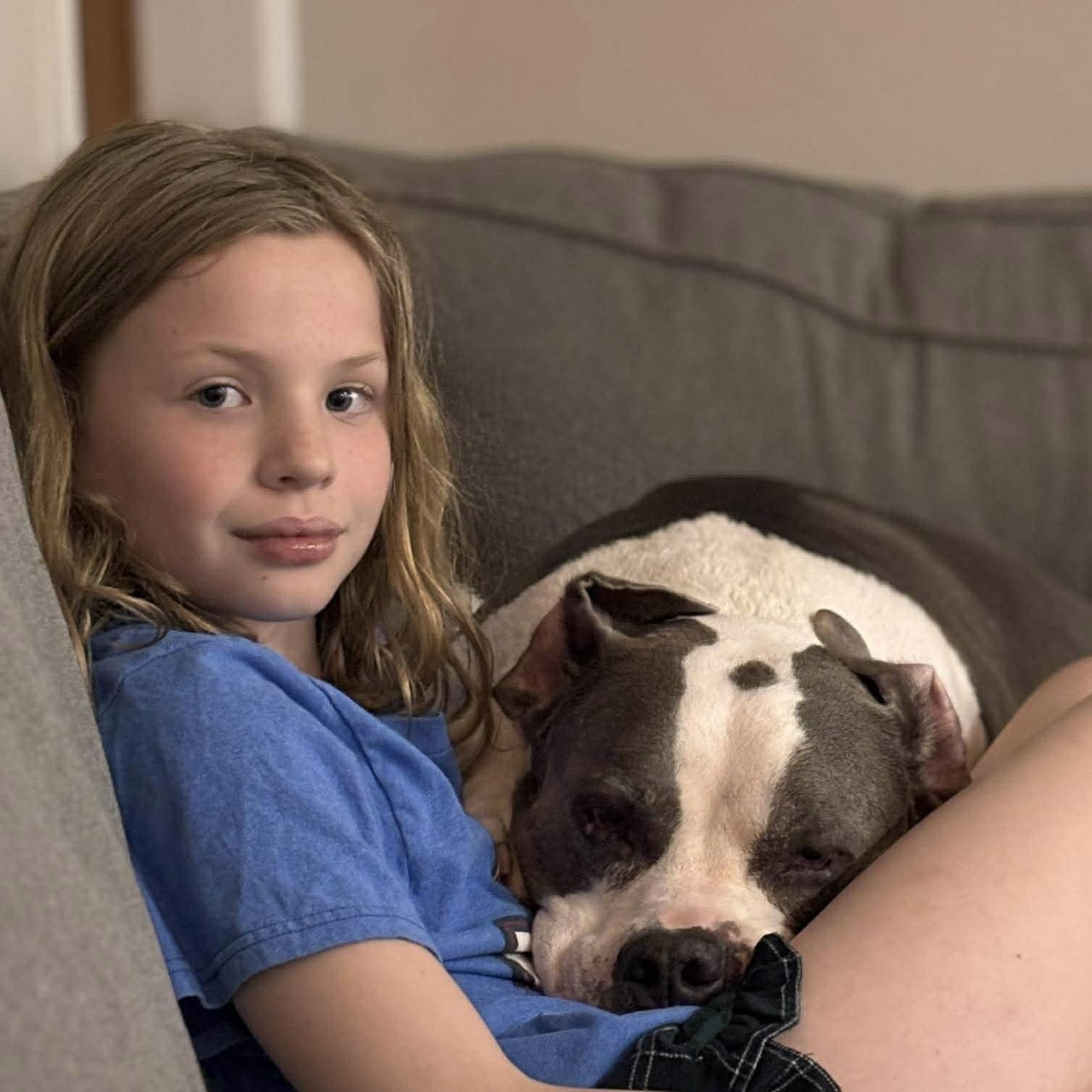 Enlarge Sky, a Adoptable mixed breed in Argyle, NY image 2/6