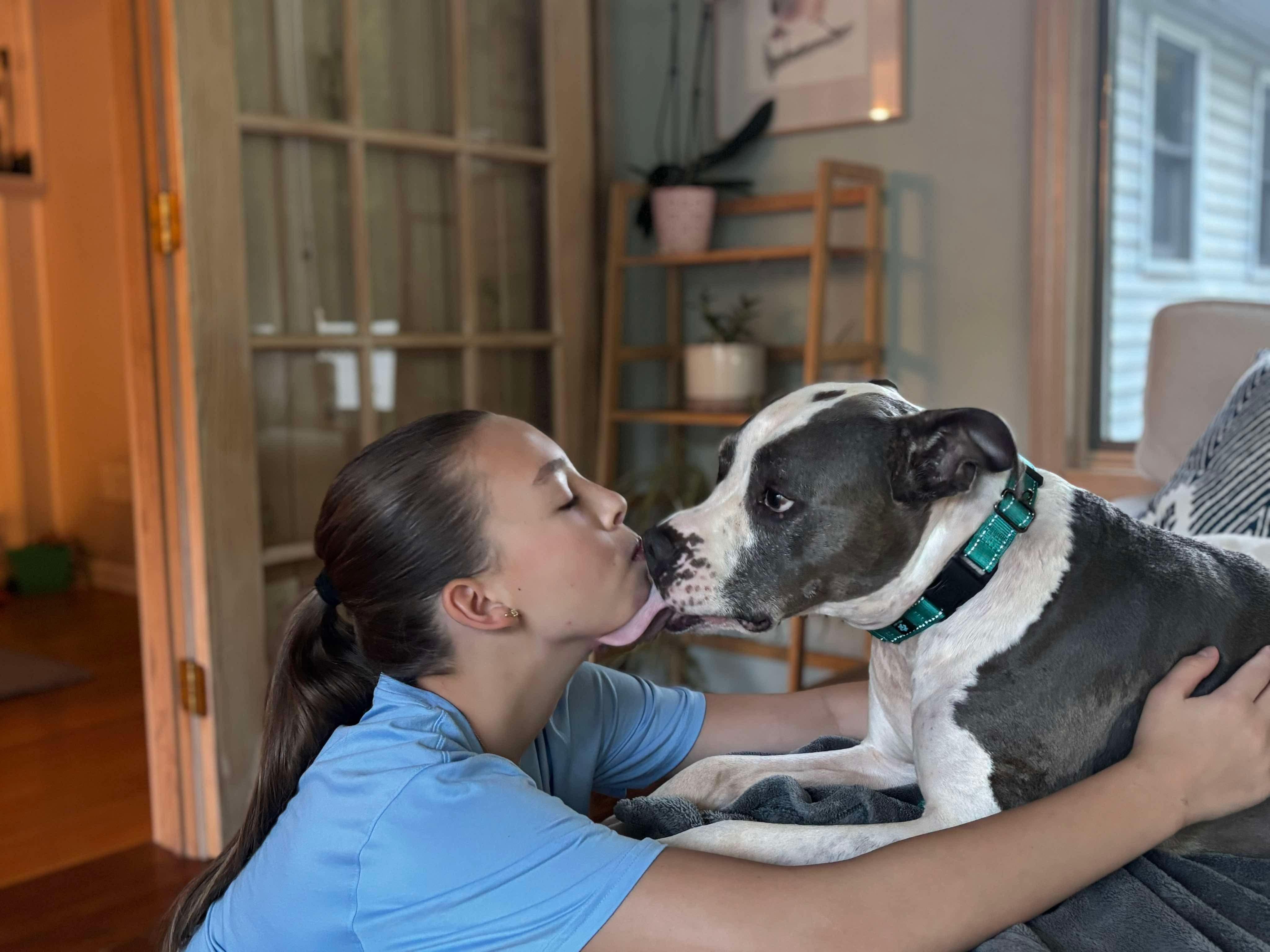 Sky, a Adoptable mixed breed in Argyle, NY image 6/6
