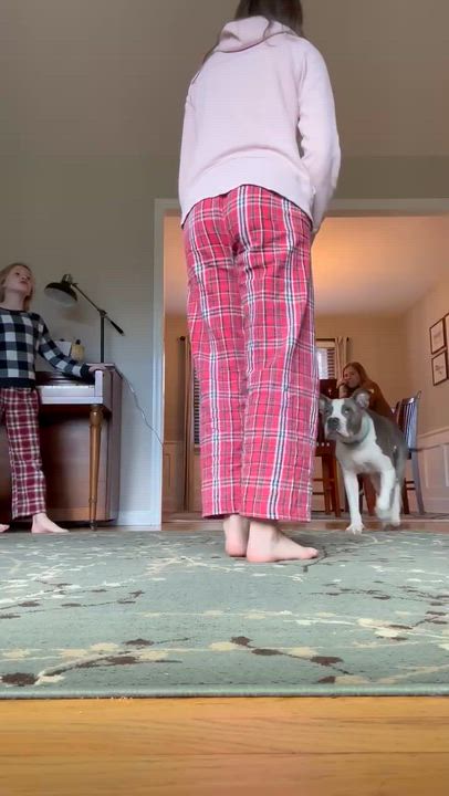 Enlarge Sky, a Adoptable mixed breed in Argyle, NY video 3/6