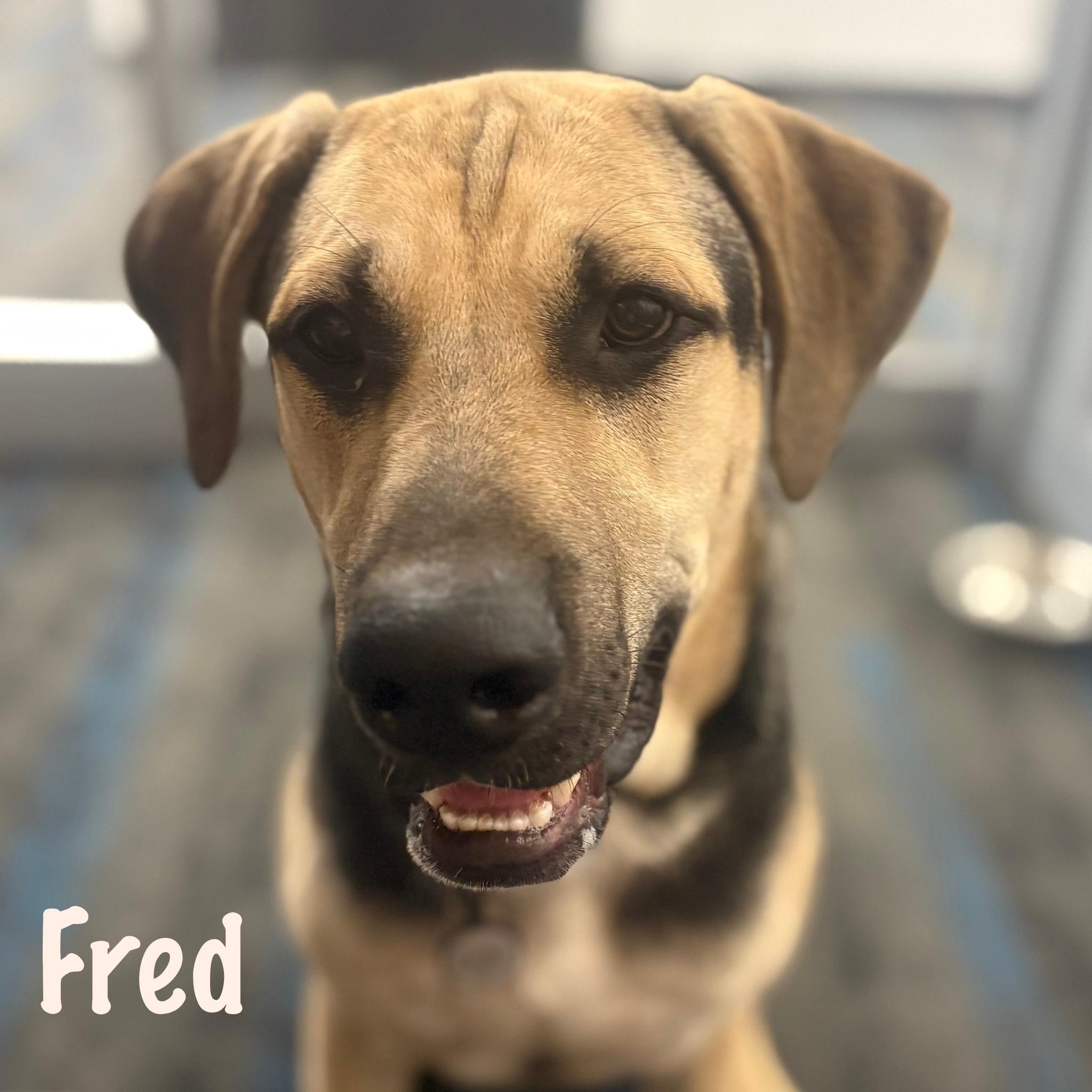 Fred