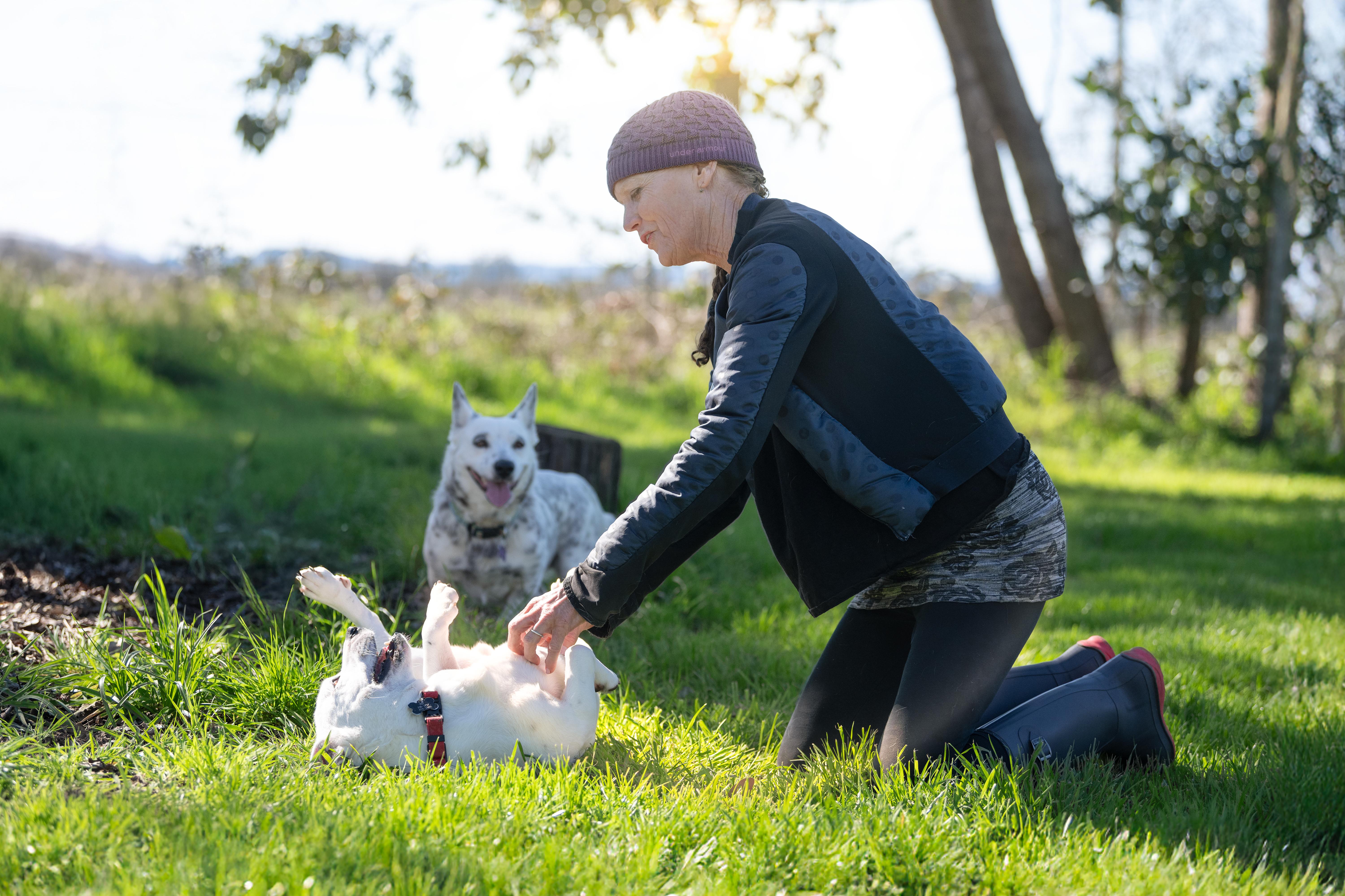 Enlarge Salt, an adoptable mixed breed in Santa Rosa, CA image 6/6