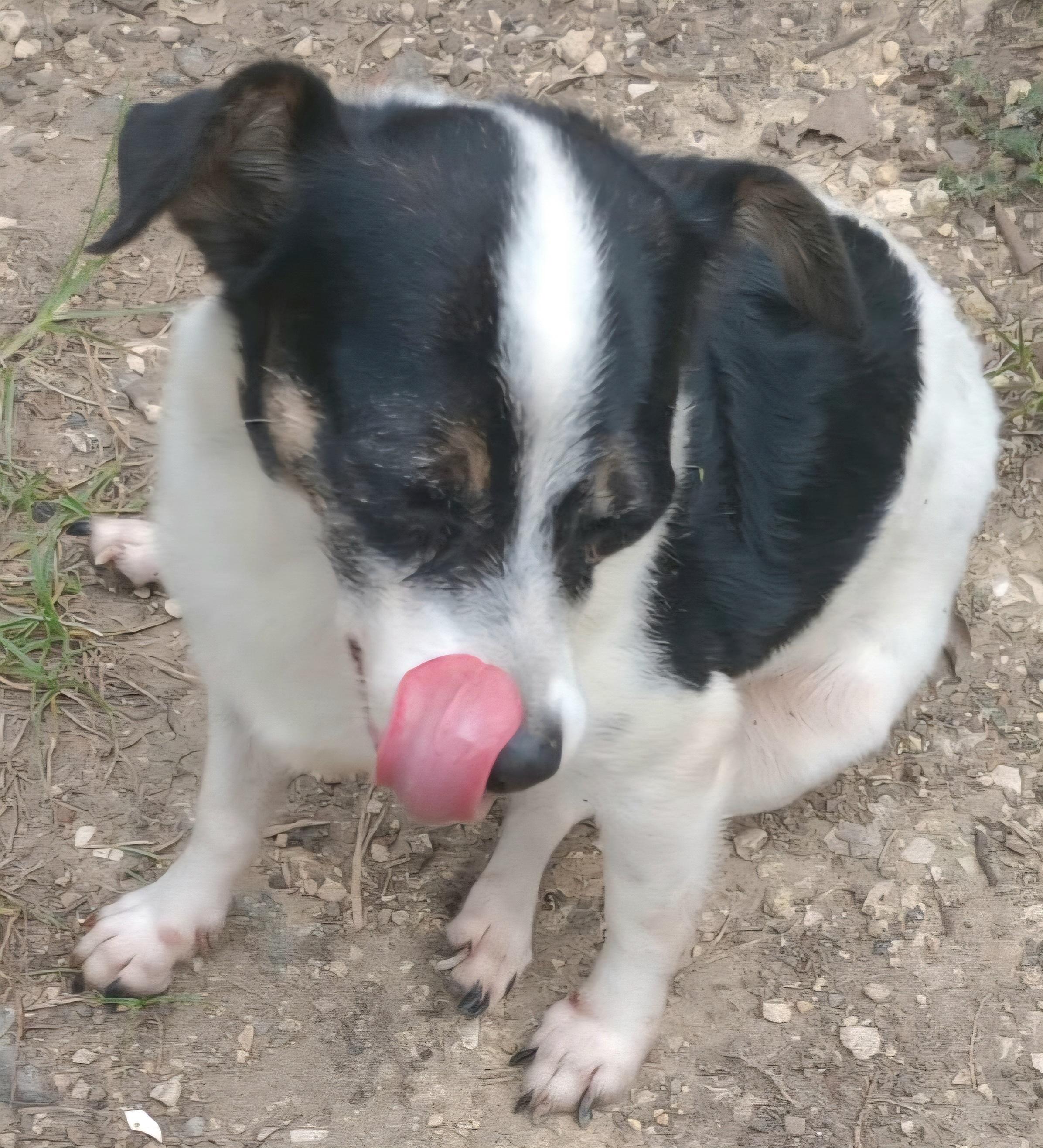 Tammy "i Have So thumbnail 2