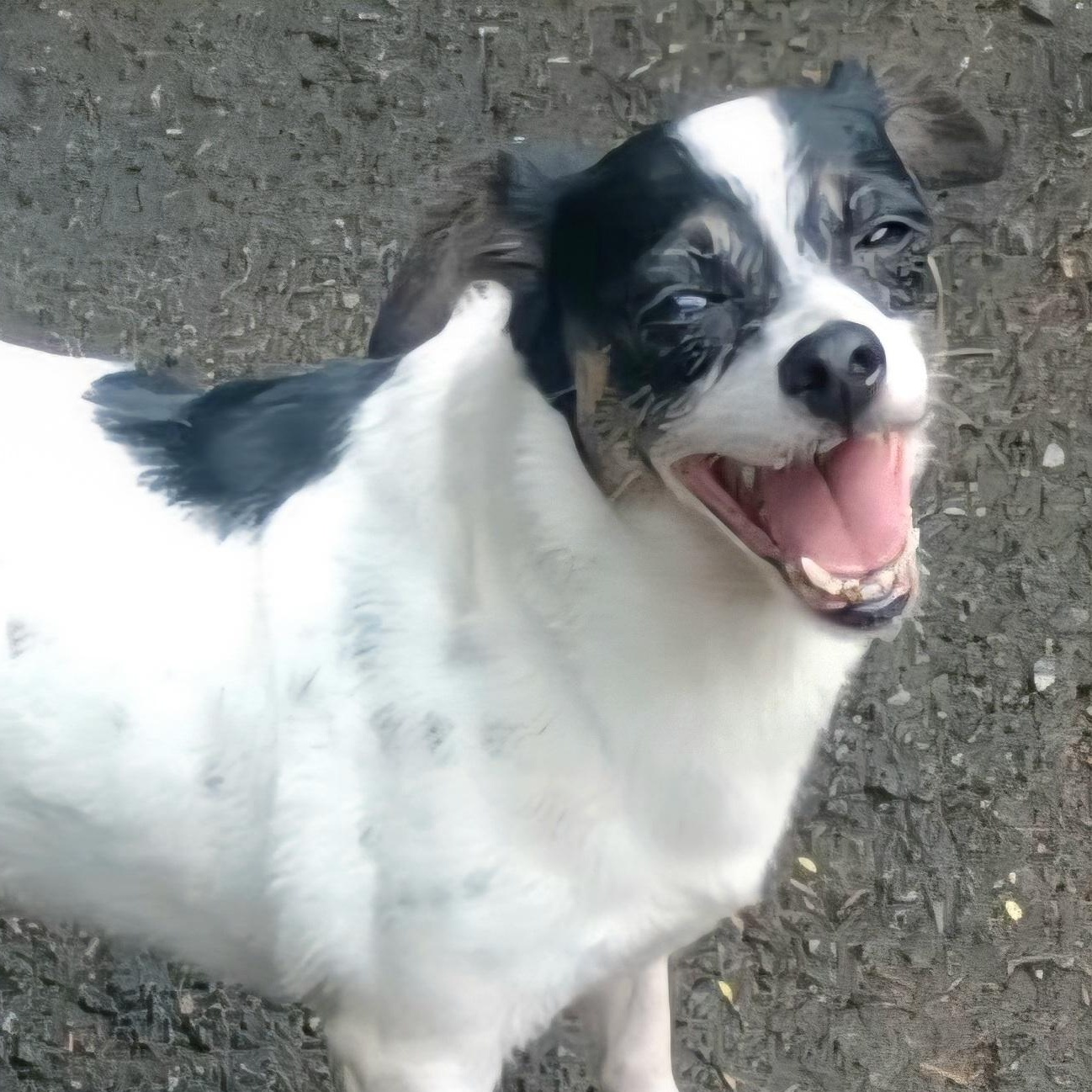 Tammy "i Have So thumbnail 5