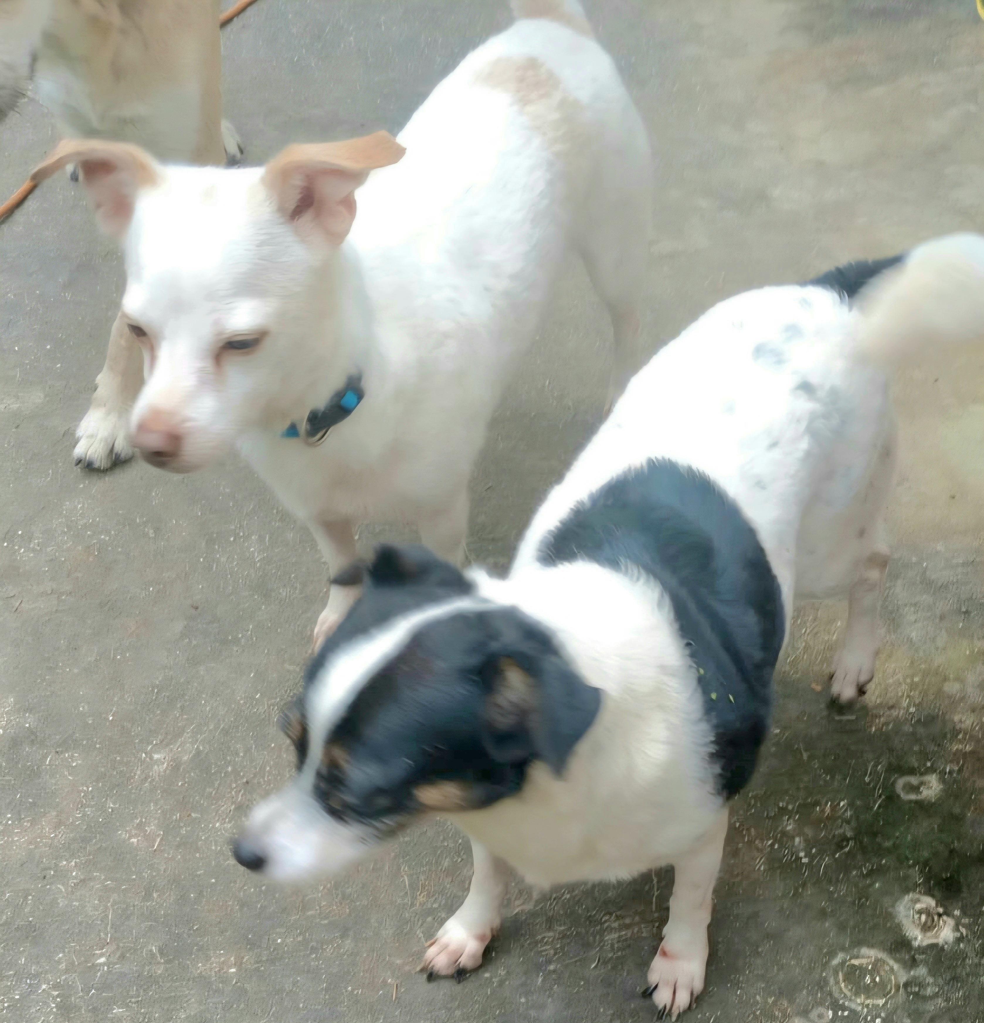 Tammy "i Have So thumbnail 6