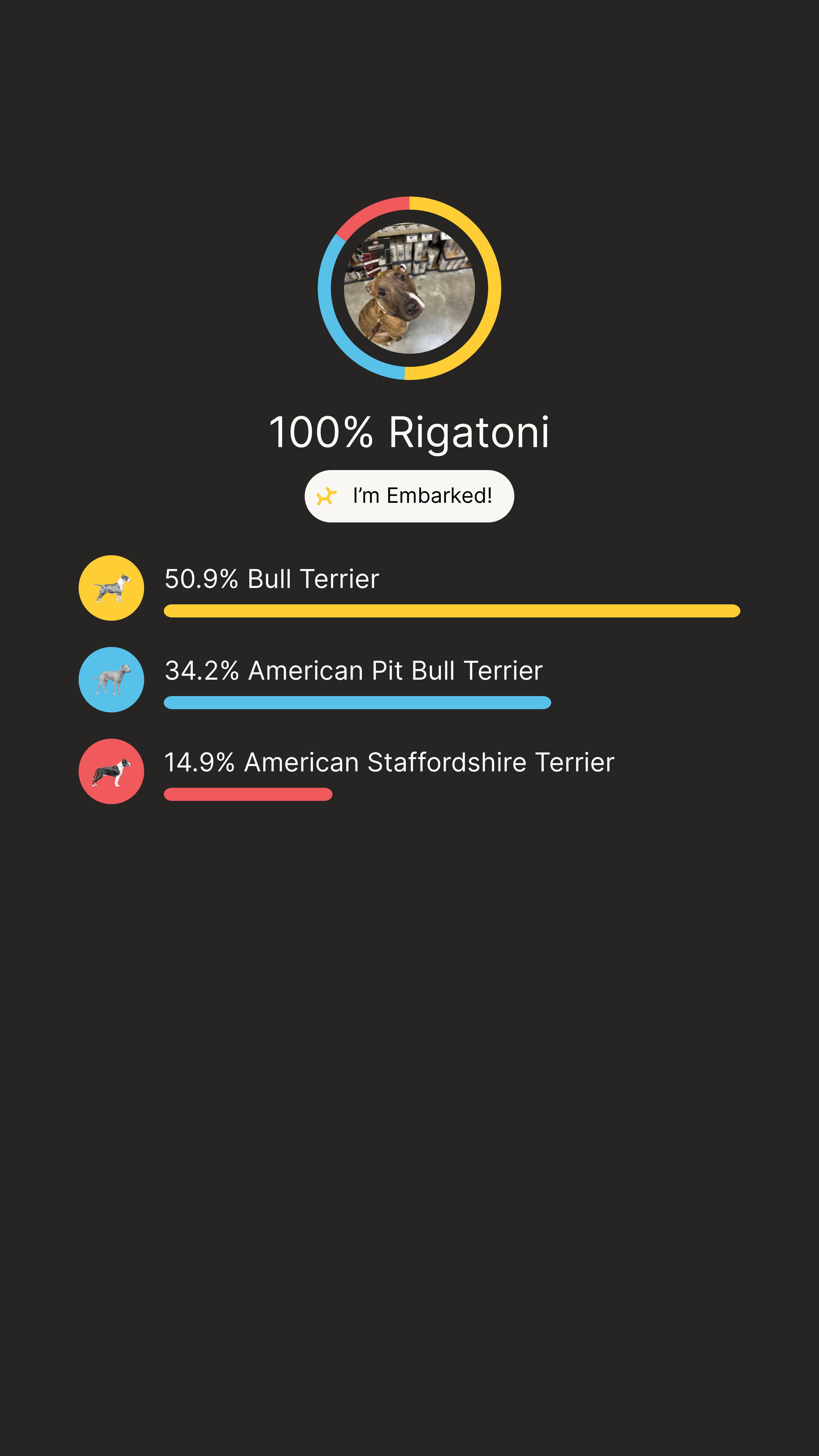 Rigatoni thumbnail 2