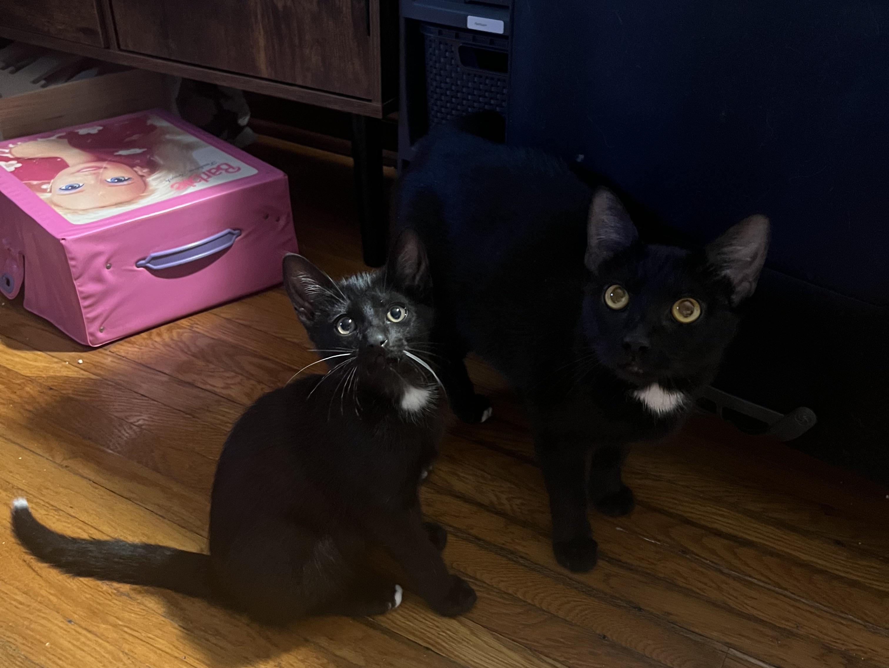 Wisp's Mom photo 1