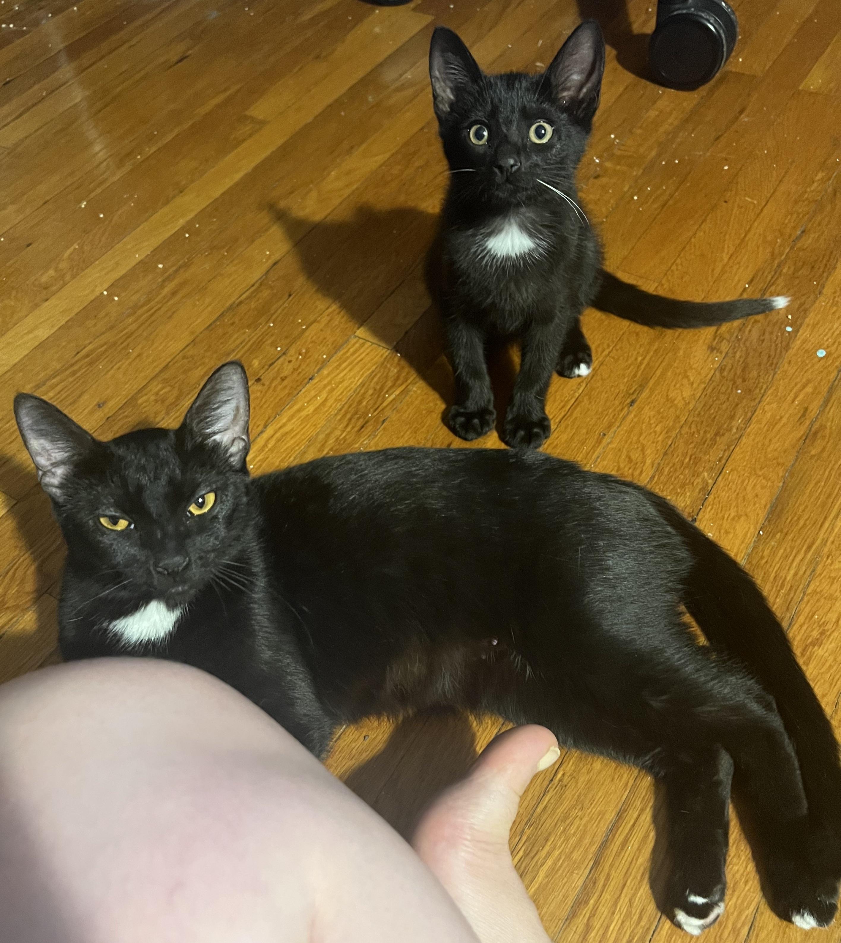 Wisp's Mom photo 2
