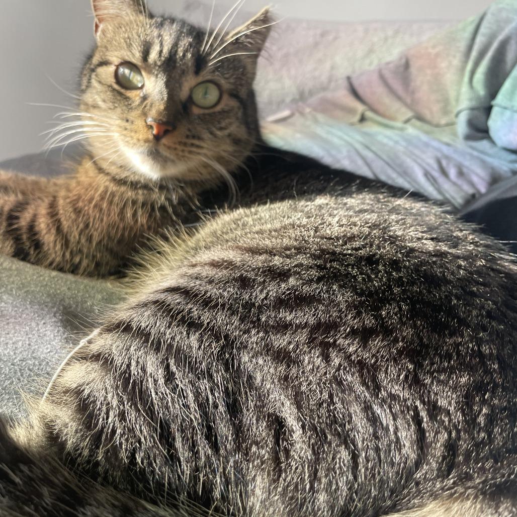 Millie B — thumbnail 3