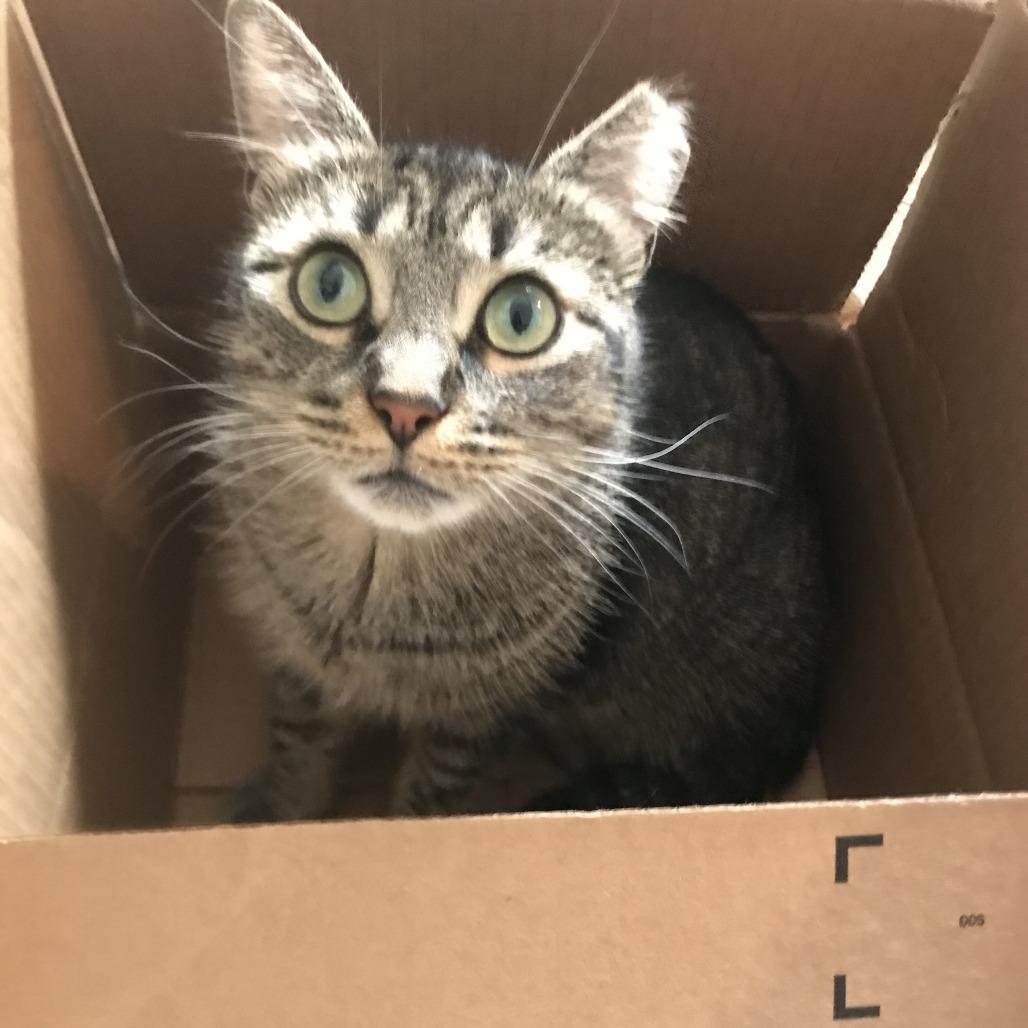 Millie B — thumbnail 4