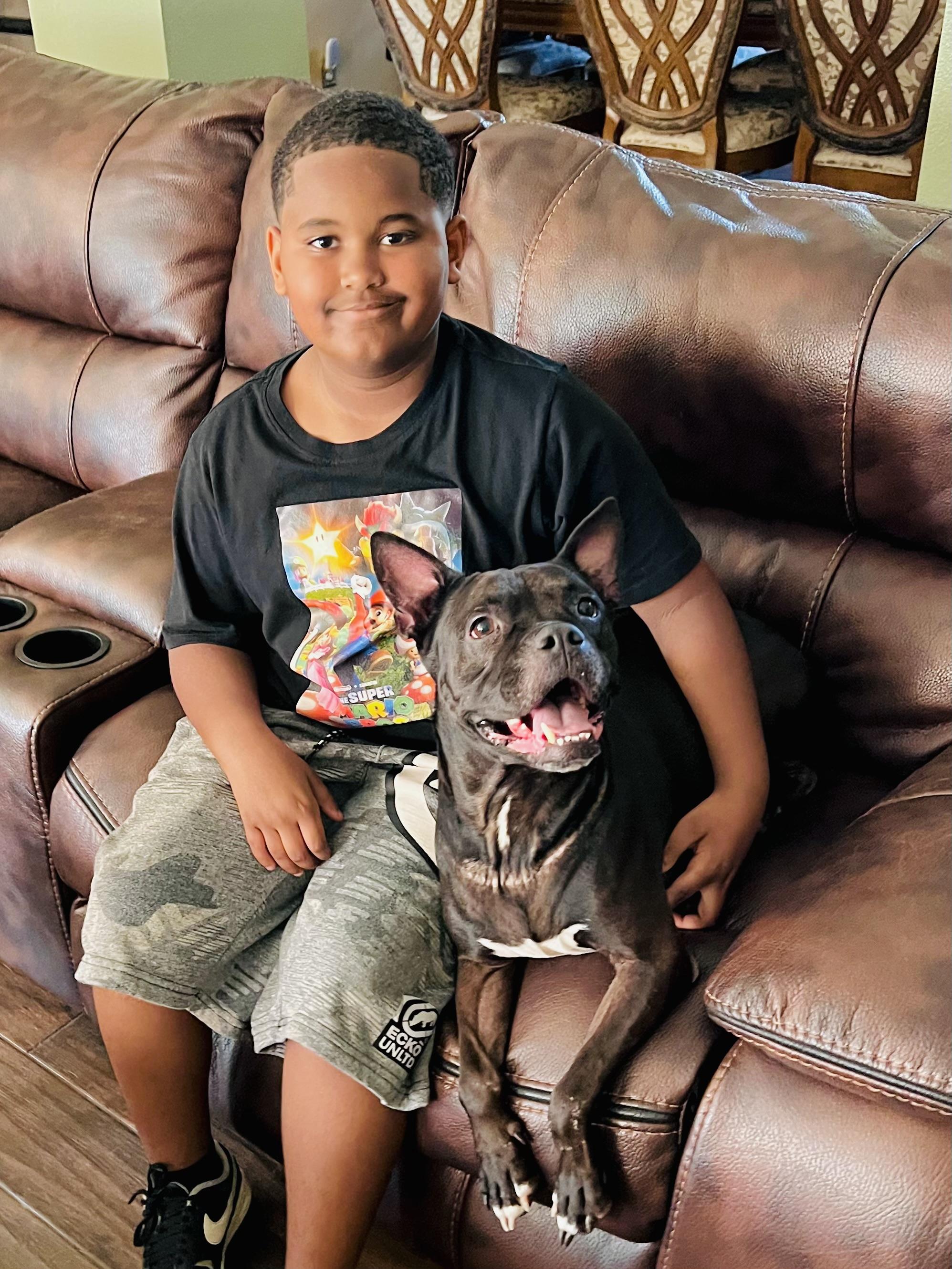 Enlarge Lady, a Adoptable mixed breed in Palm Coast, FL image 5/6