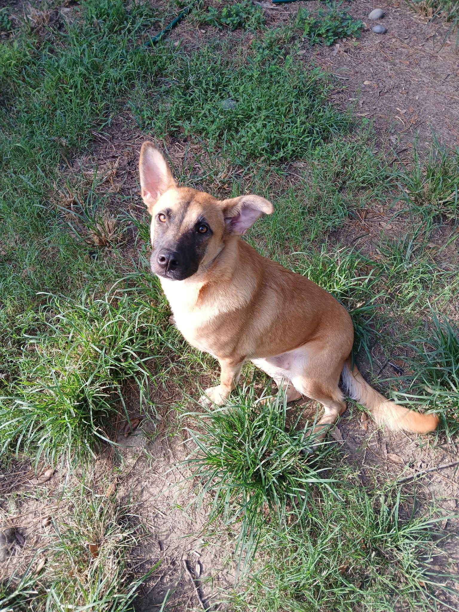 Colbie