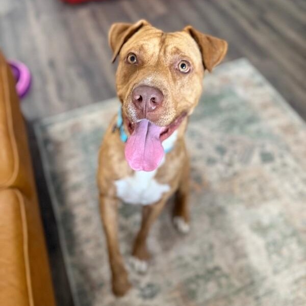 Kayne lovely — thumbnail 4