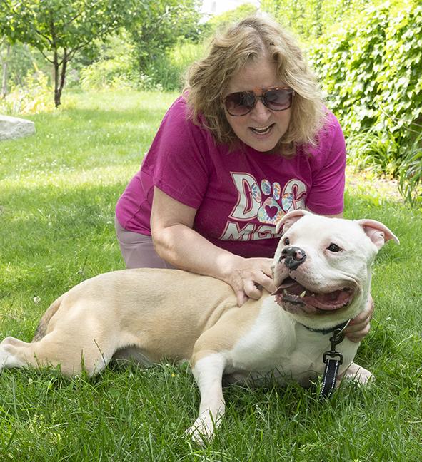 Enlarge Romeo, a ADOPTABLE mixed breed in Chicago, IL image 4/6