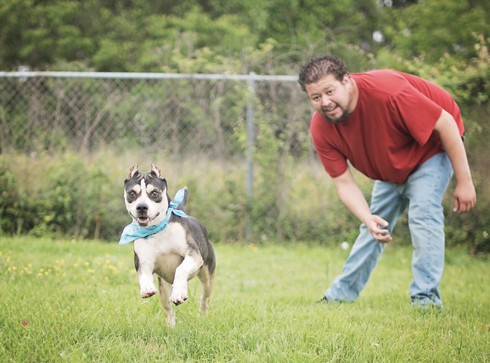 Bruno, a Adoptable mixed breed in Allentown, PA image 5/6