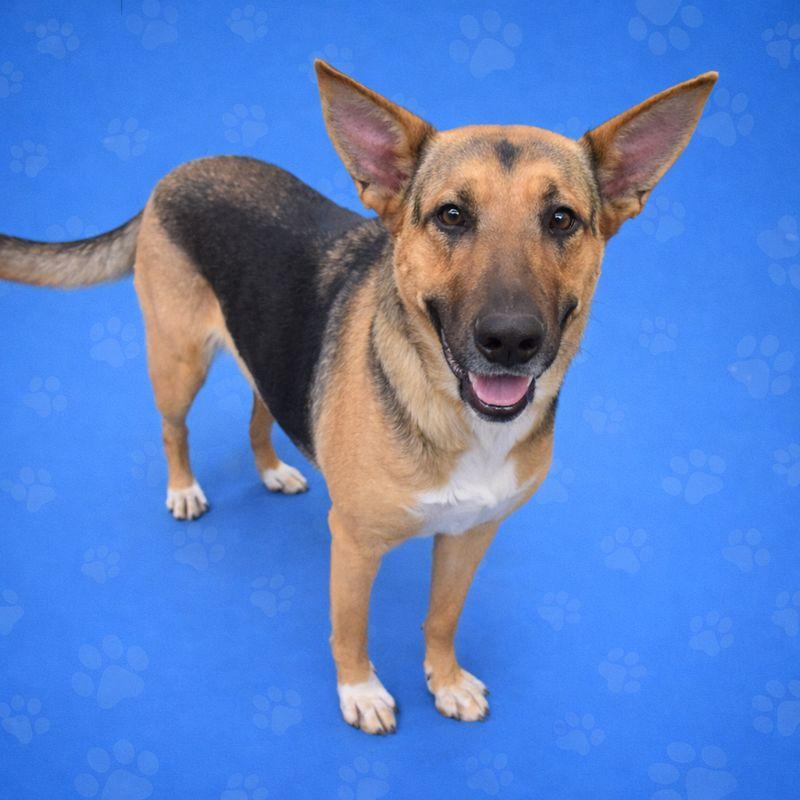 MARIAH — thumbnail 2