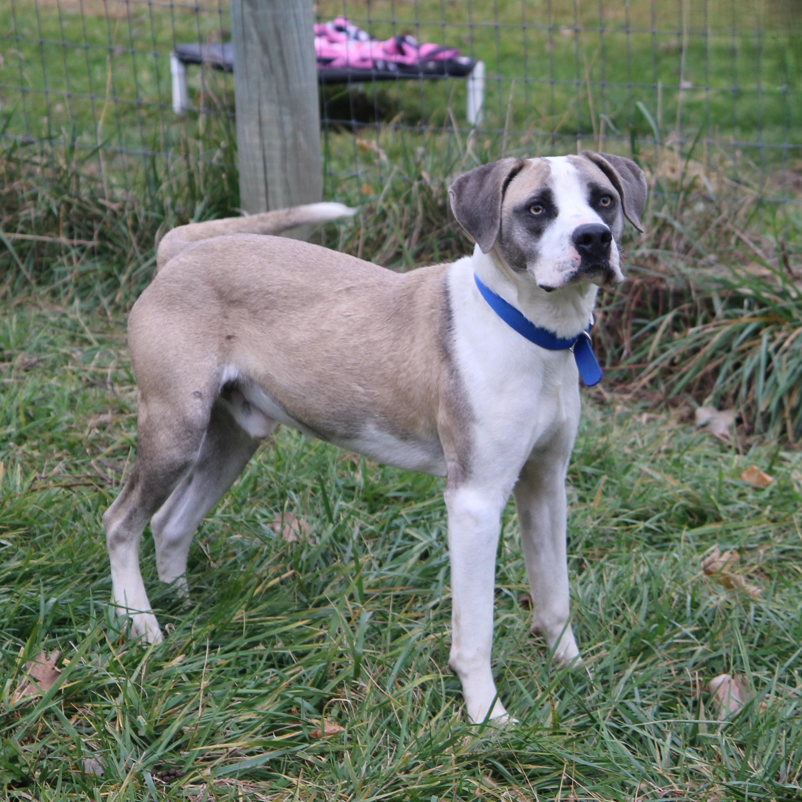 Morpheus thumbnail 2