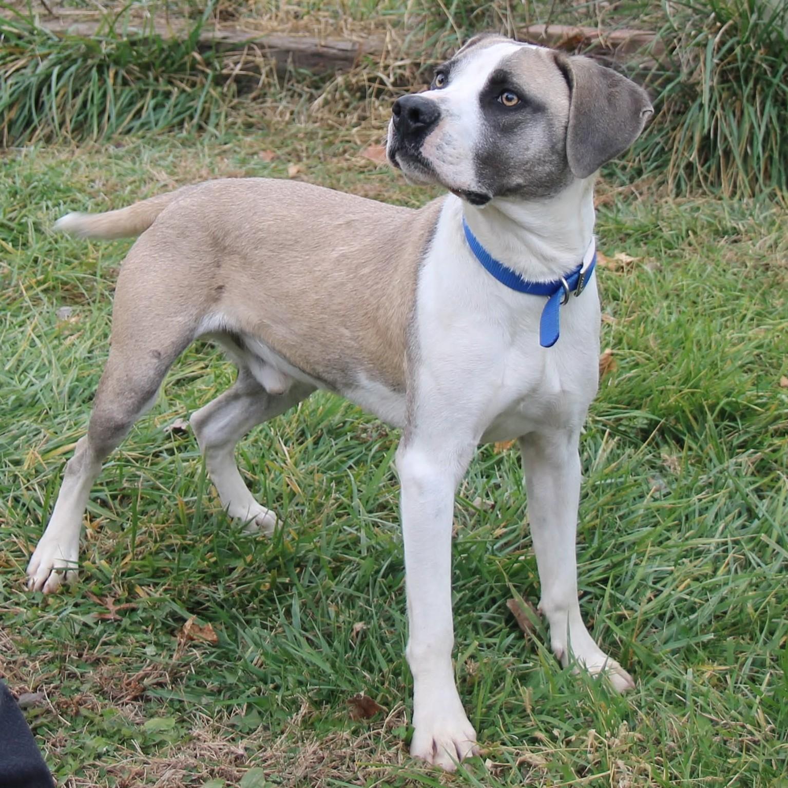 Morpheus thumbnail 3