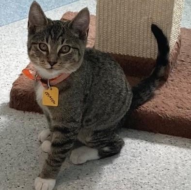 Mateo - Fun Little Guy