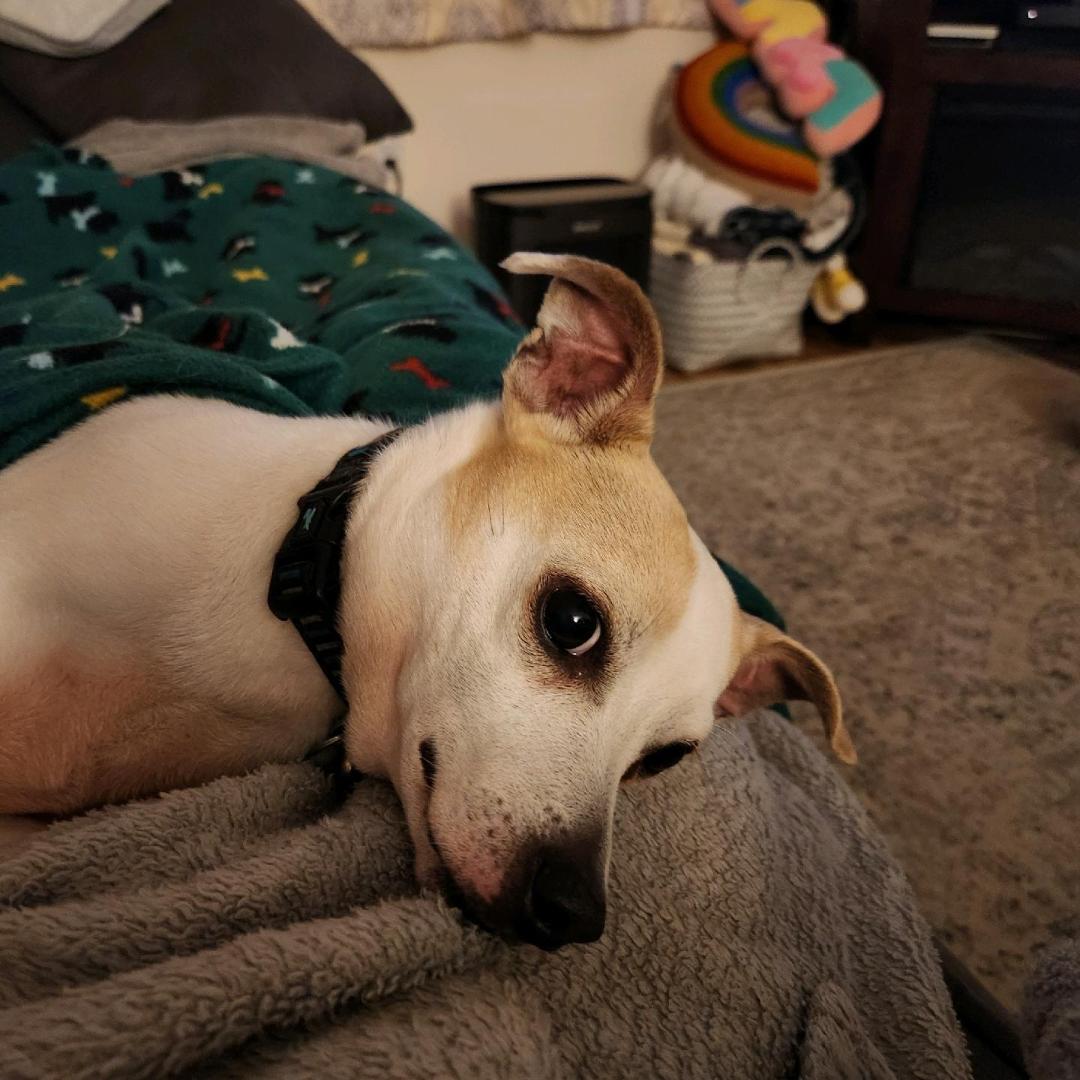 Doozer, Senior Male unknown