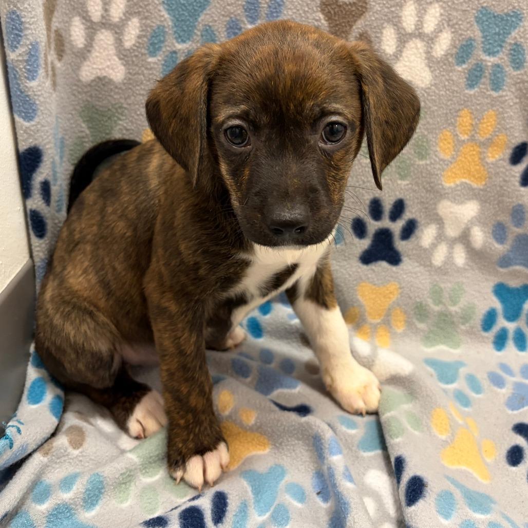 Zester — thumbnail 2